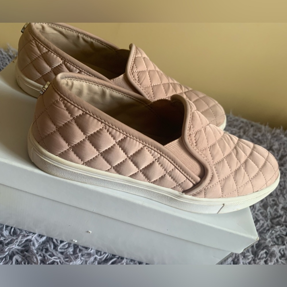 Steve Madden Women's Ecentrcq Sneaker